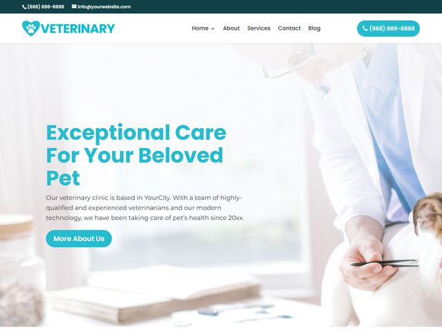 Veterinarian website design demo